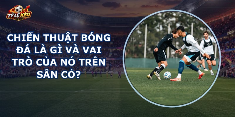 Chiến Thuật Bóng Đá