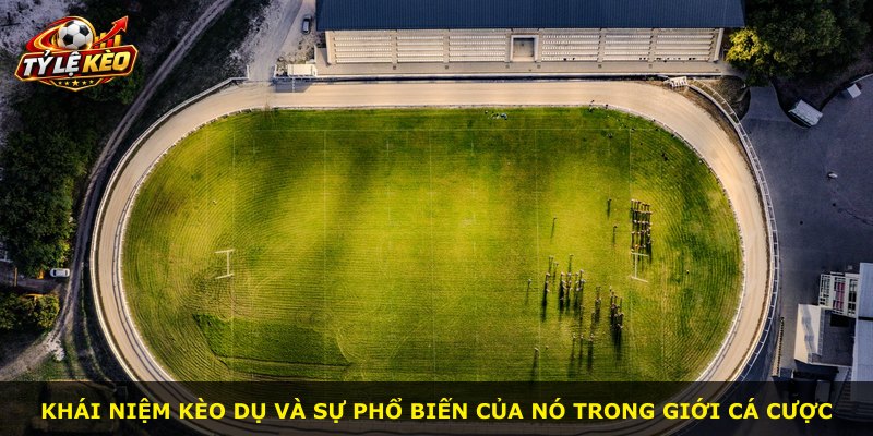 Khái niệm kèo dụ và sự phổ biến của nó trong giới cá cược