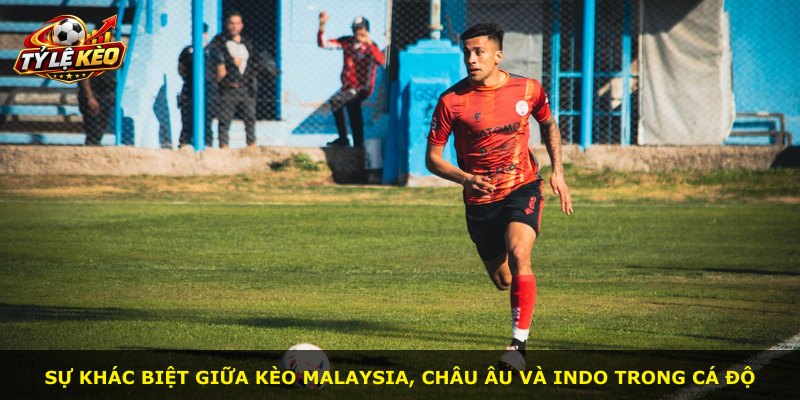 Sự khác biệt giữa kèo Malaysia, châu Âu và Indo trong cá độ